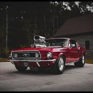 Meet your Posher, David